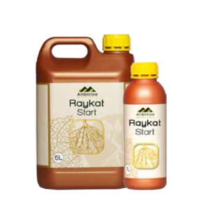 Raykat Start 2