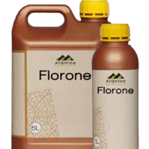 66lwa2hswbe8jqdkvpddplcpqck8rd9c