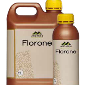 66lwa2hswbe8jqdkvpddplcpqck8rd9c