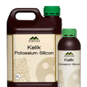 8r0ks0weex5oeiivrmuwwbrnjsrcu16v