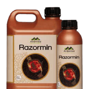 Dnqdf9ajxfgonvjdqavvhemu0tgri1uh