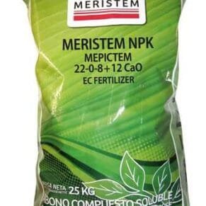 Meristem 22 0 812 Sao