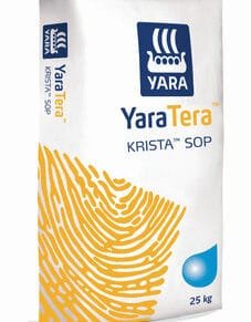 Yaratera Krista Sop