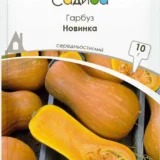 Гарбуз Новинка 10 г.