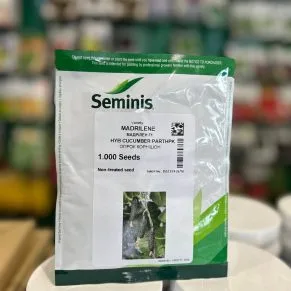 Огірок Мадрілен (Madrilene) F1