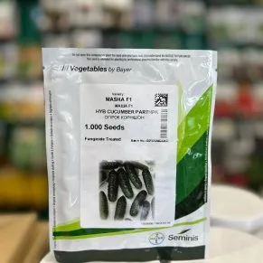 Огірок Маша F1