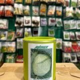 Капуста білоголова Тюркіз 500 г.