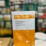 Томат Солероссо F1 1000 шт.