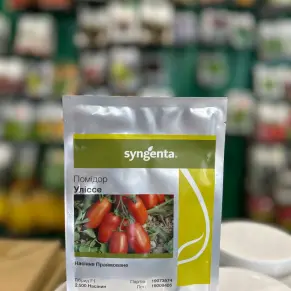 Томат Уліссе F1