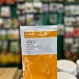 Томат Інкас F1 (Inkas F1)