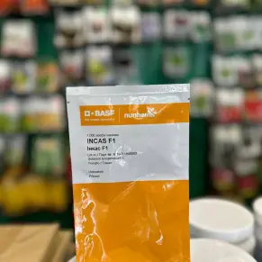 Томат Інкас F1 (Inkas F1)