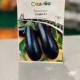 Баклажан Софія F1 10 шт.