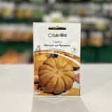 Гарбуз Мускат де Прованс