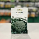 Капуста броколі Романа F1