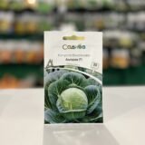 Капуста білоголова Амтрак F1