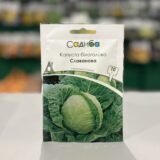 Капуста білоголова Славанова