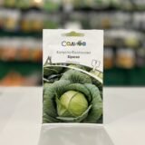 Капуста білоголова Бірюза