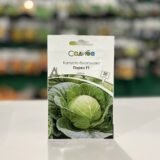 Капуста білоголова Парел F1