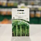 Капуста брюсельська Абакус F1