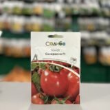 Томат Солероссо F1 100шт.