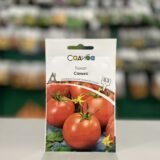 Томат Санька