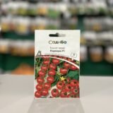 Томат Порпора F1