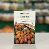 Томат Фантіно F1 5 шт.