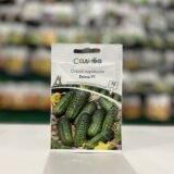 Огірок Еколь F1