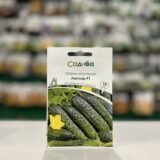 Огірок Лютояр F1