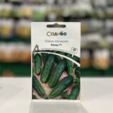 Огірок Регал F1