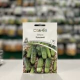 Огірок Кущовий