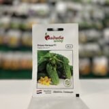 Огірок Наташа F1