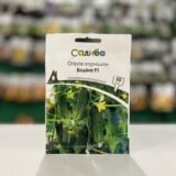 Огірок Бодіна F1