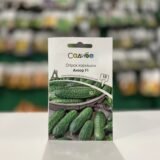 Огірок Анзор F1