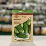 Огірок Вісконсін