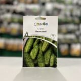 Огірок Ніжинський