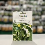 Огірок Роднічок F1