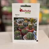 Кактус суміш