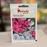 Лаватера Блискуча Суміш