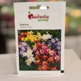 Аквілегія Барлоу суміш