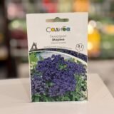 Геліотроп Маріне темно-синій