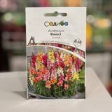 Антірінум Кімосі суміш