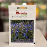 Дзвоник Карпатський