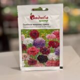 Скабіоза Махрова суміш