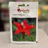 Іпомея Кардинал