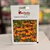 Рудбекія Осінній ліс