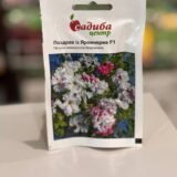 Петунія Поздрав із Яромнерже F1